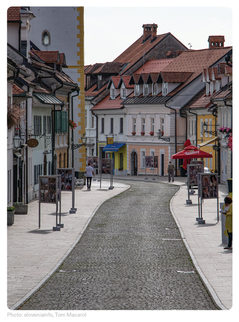 PŠ25_Naslovna slika